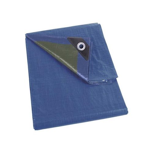 Bâche - Bleu/Vert - Standard - 2 X 4 M
