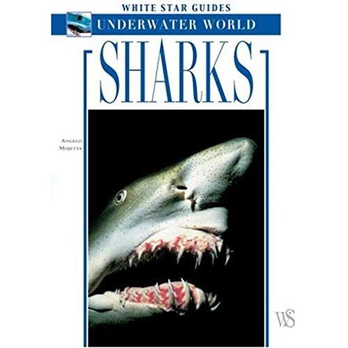 Sharks: White Star Guides Underwater World