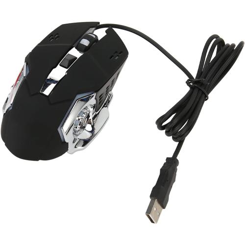 Souris de Jeu Filaire, Souris de Jeu PC avec Rétroéclairage RVB et 4 DPI Réglables, 6 Boutons, Conception de Clic Silencieux, Souris Gamer Ergonomique pour Win, Ordinateur (Noir)