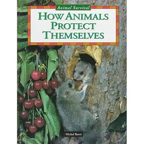 How Animals Protect Themselves (Animal Survival)