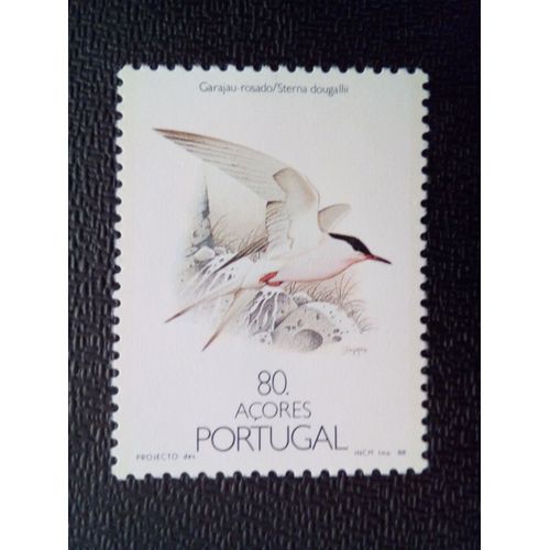 Timbre Açores Yt 383 Sterne De Dougall (Sterna Dougallii) 1988 ( 011012 )