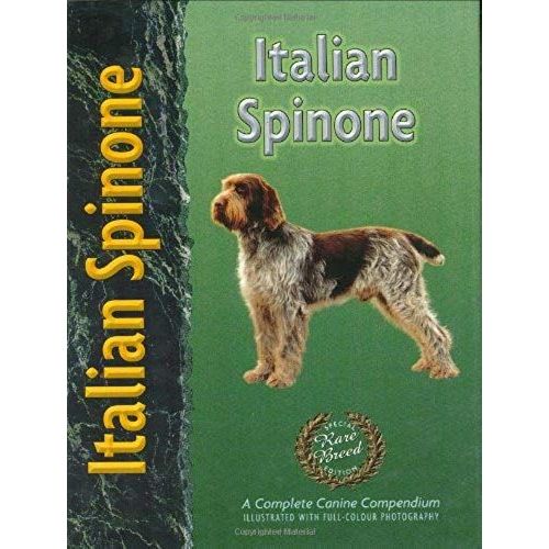 Italian Spinone (Pet Love)