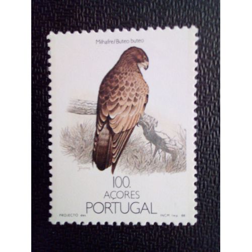 Timbre Açores Yt 384 Buzzard Commun (Buteo Buteo) 1988 ( 011012 )