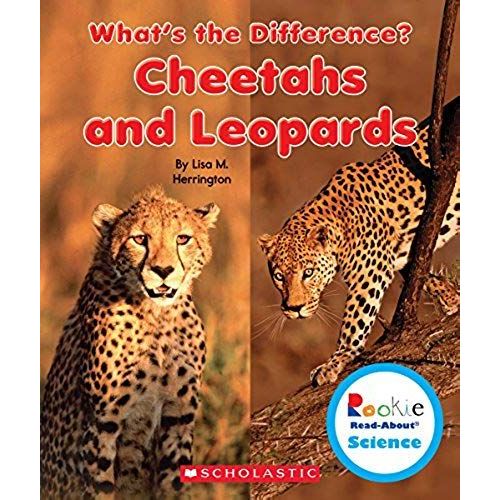 Cheetahs And Leopards