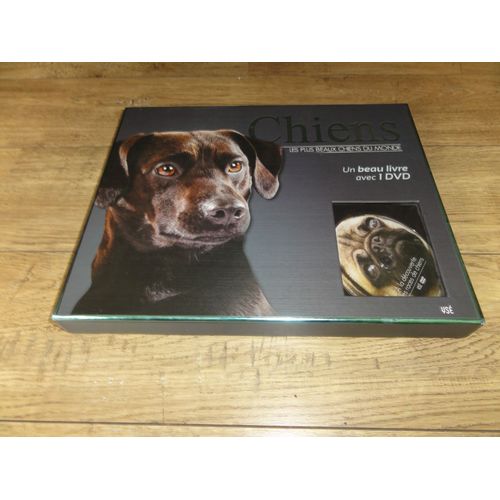Chiens Les Plus Beaux Chiens Du Monde