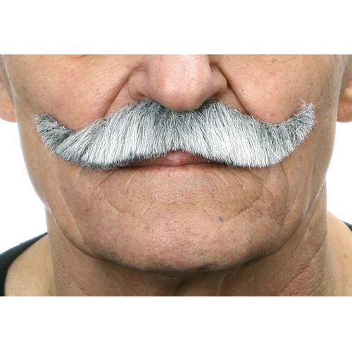 Moustache Anglaise Aux Cheveux Gris