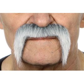 Moustache Mexicaine Aux Cheveux Gris