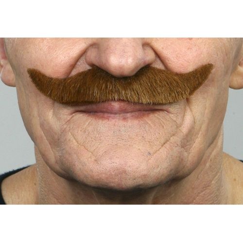 Moustache Anglaise Châtaigne