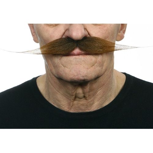 Grosse Moustache Brune
