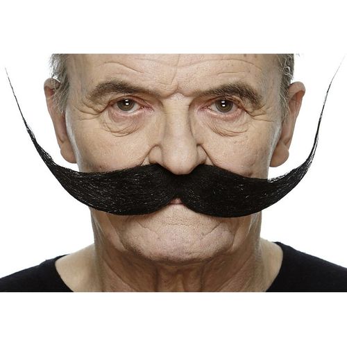 Moustache Noire Française (Taille Unique)