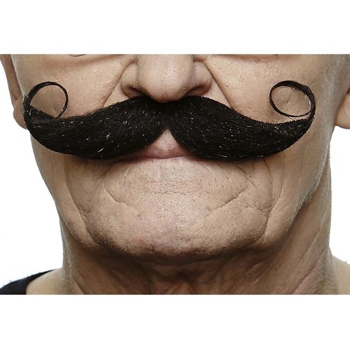 Moustache Frisée Française Noire