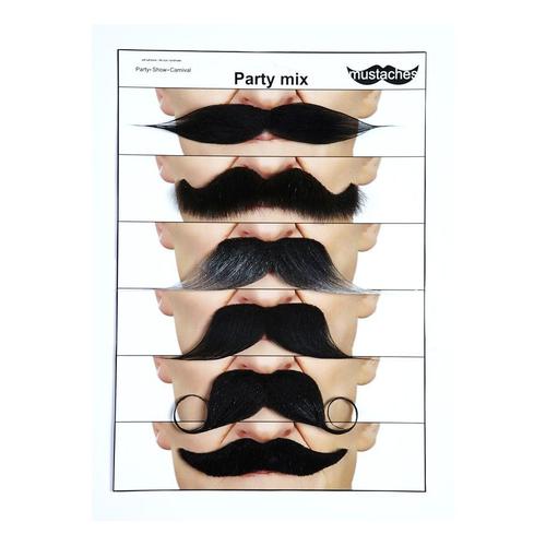Ensemble De 6 Moustaches Modèles Assortis (Taille Unique)
