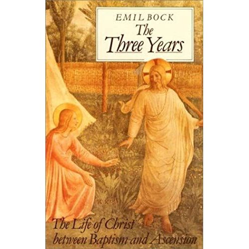 The Three Years: The Life Of Christ Between Baptism & Ascension