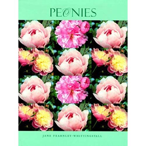 Peonies