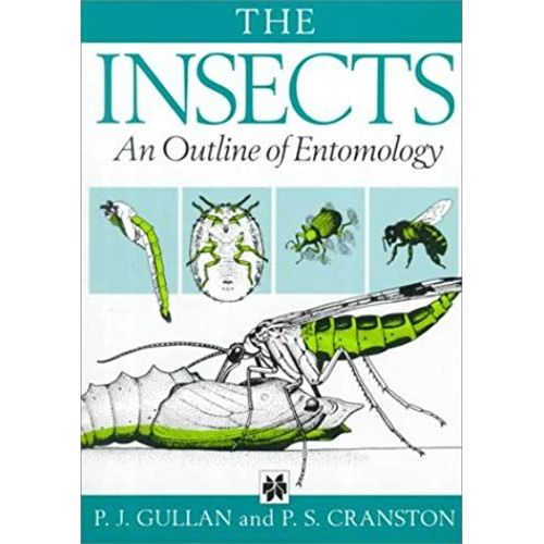 Insects : An Outline Of Entomology