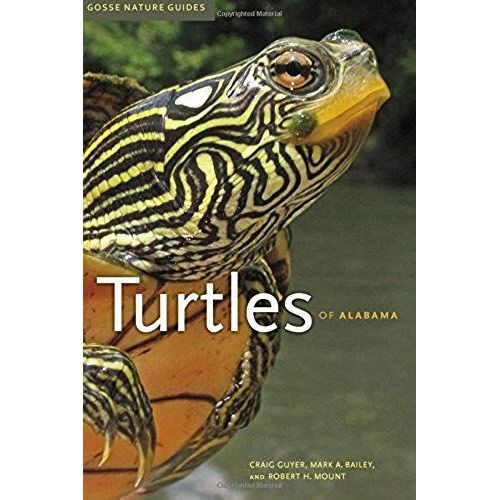 Turtles Of Alabama