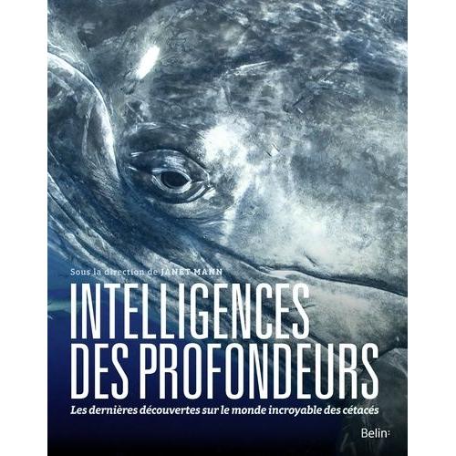 Intelligences Des Profondeurs - Dans La Tête Des Baleines, Dauphins Et Marsouins