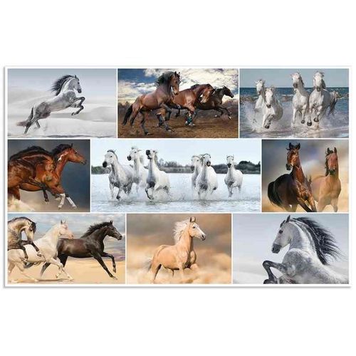 Herma Sous-Main Soft Touch 550 X 350 Mm Chevaux