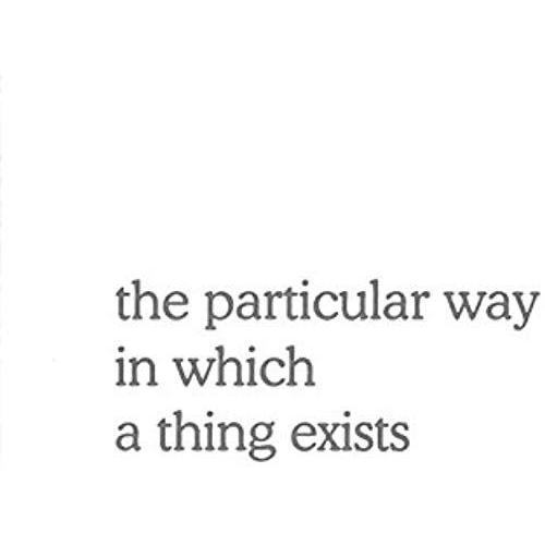 Martin Beck - The Particular Way In Which Things Exist