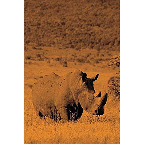 Alive! White Rhino - Sepia - Photo Art Notebooks (6 X 9 Version)