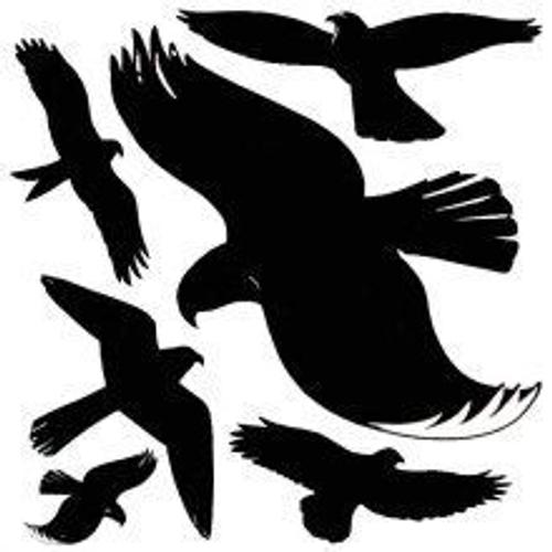 Avery Zweckform Silhouettes De Rapaces, Autocollantes, Noir