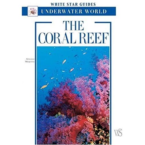 The Coral Reef: White Star Guides Underwater World