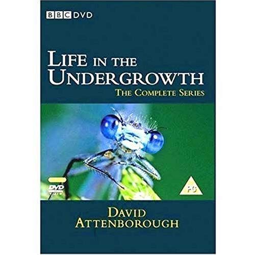 Life In The Undergrowth The Complete Series