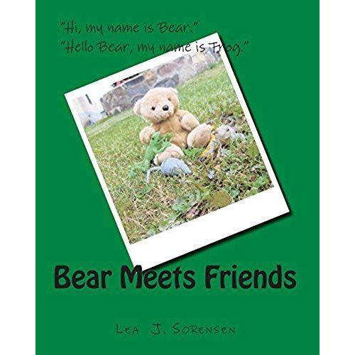Bear Meets Friends