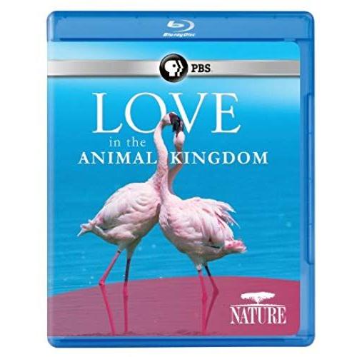 Nature: Love In The Animal Kingdom (Blu-Ray)