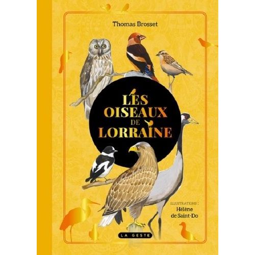 Les Oiseaux De Lorraine