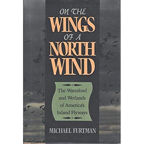 On The Wings Of A North Wind
