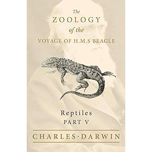 Reptiles - Part V - The Zoology Of The Voyage Of H.M.S Beagle ; Under The Command Of Captain Fitzroy - During The Years 1832 To 1836