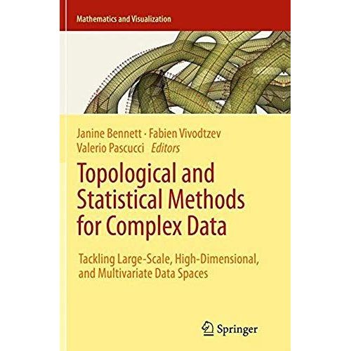 Topological And Statistical Methods For Complex Data