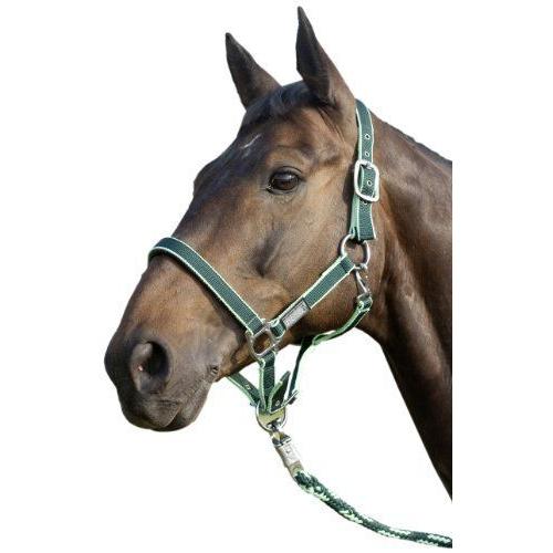 United Sportproducts Germany Usg 3445 Licol Pour Poney Avec Boucles Argentées Vert/Gris