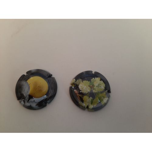 2 Belles Capsules De Champagne Serie Nature
