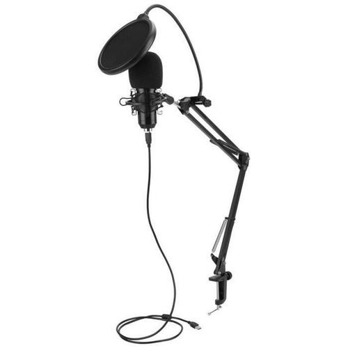 Microphone Bm800 Bm800 ensemble de microphones de mixage Microphone à condensateur Usb pour PC karaoké diffusion en direct