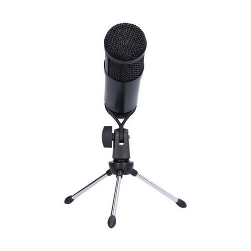 Microphone Usb Bm-828 condensateur cardioïde Microphone Usb réduction du bruit Microphone filaire pour salles d'ordinateurs