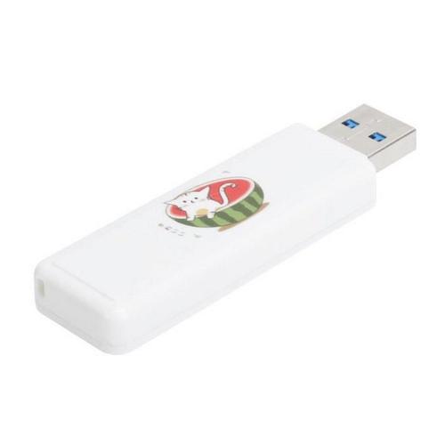 Uu Disk Usb2.0 Push-Pull Car Flash Drive Memory Corporate Gift Computer Accessories (Watermelon Cat 128Gb)