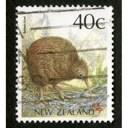 Timbre Oblitéré New Zealand, Brown Kiwi, 40 C