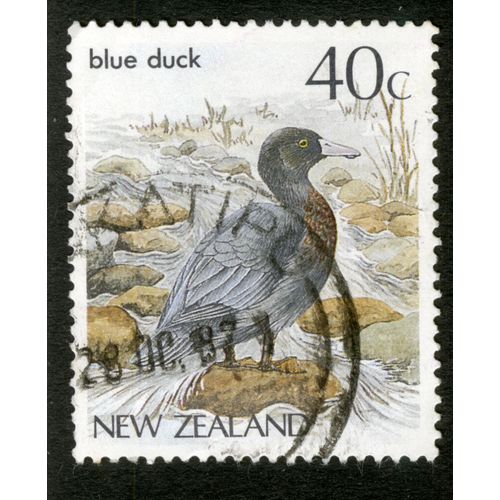 Timbre Oblitéré New Zealand, Blue Duck, 40 C