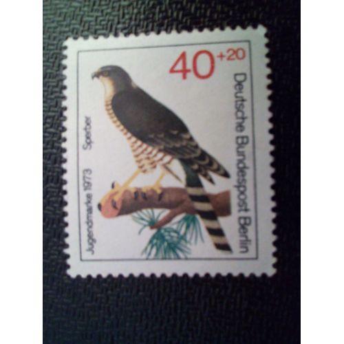 Timbre Berlin Allemagne Yt 409 Épervier D'amérique (Accipiter Nisus) 1973 ( 031012 )