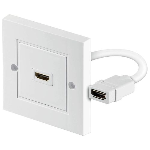 Wentronic Prise murale HDMI (1 prise femelle A HDMI blindée) (Import Allemagne)