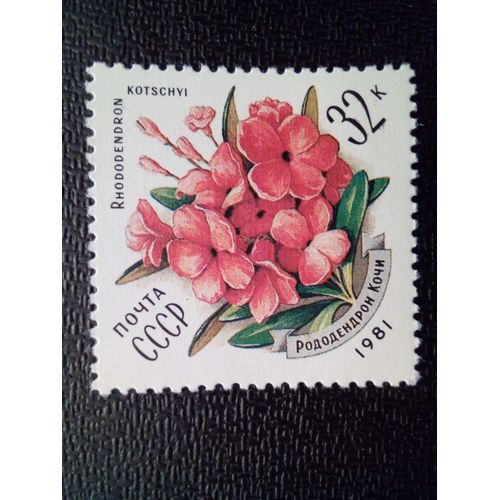 Timbre Russie / Urss Yt 4806 Rododendron Kotschyi 1981 ( 041012 )