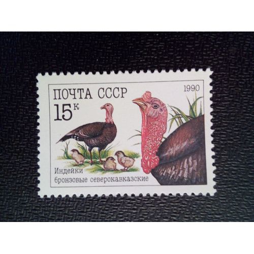 Timbre Russie / Urss Yt 5766 Dinde Domestique (Meleagris Gallopavo) 1990 ( 041012 )