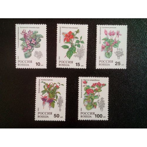 Timbre Russie M I 296 A 300 Séries: Fleures 1993 ( 081012 )