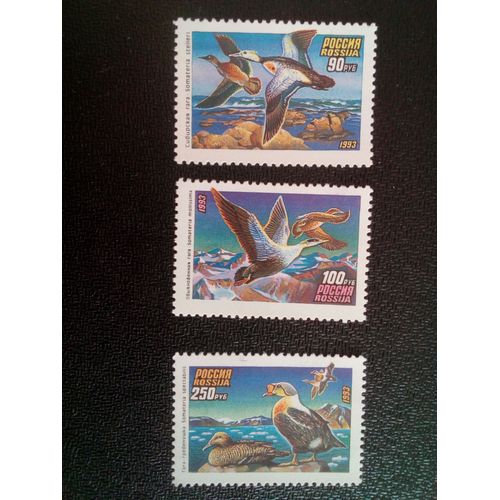 Timbre Russie Yt 6005 A 6007 Séries: Canards 1993 ( 081012 )