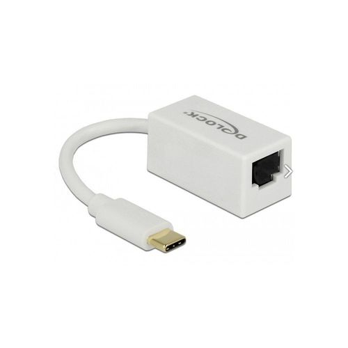 DeLock Adaptateur USB-C 3.1 Gen 1 RJ-45 Gigabit LAN Blanc