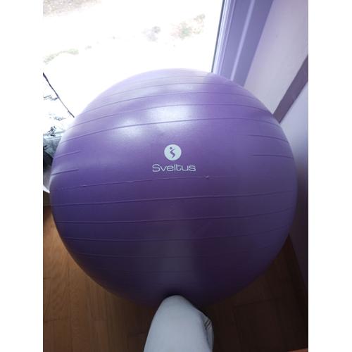 Ballon Gymball Violet