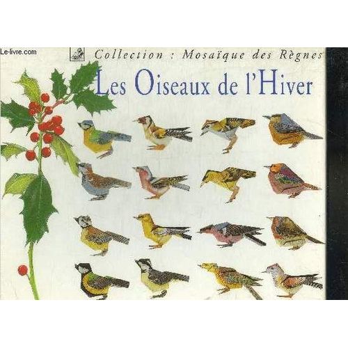 Les Oiseaux De L'hiver