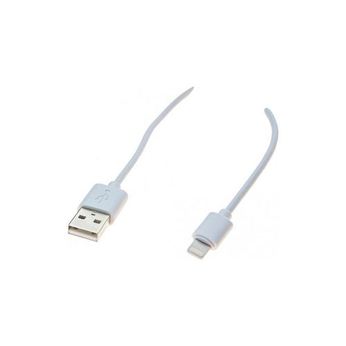 exertis Connect - Câble Lightning - Lightning mâle pour USB mâle - 1 m - blanc